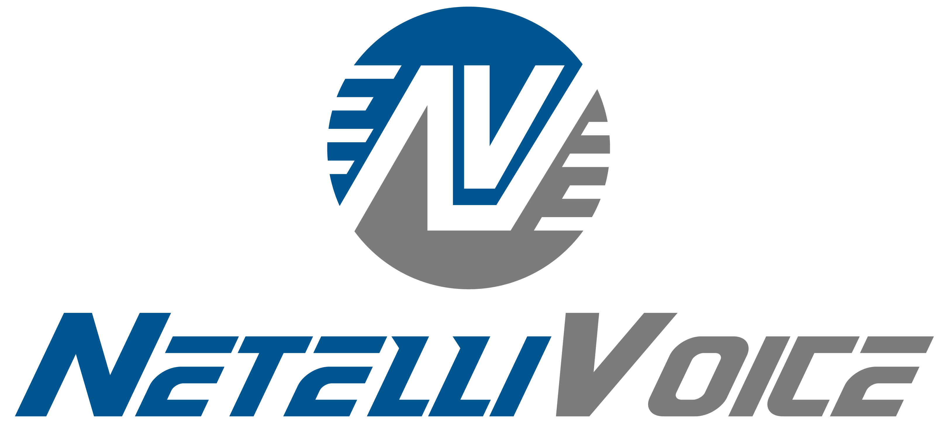 NetelliVoice